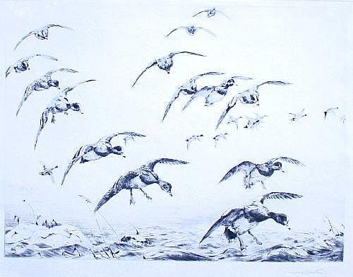 Winifred Marie Louise Austen comparable auction result: winifred marie louise austen 1876 1964 widgeon