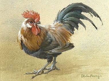 Edwin Penny, a bantam cock, watercolour heightened sold by Charterhouse, lot 1042 — auction record photograph