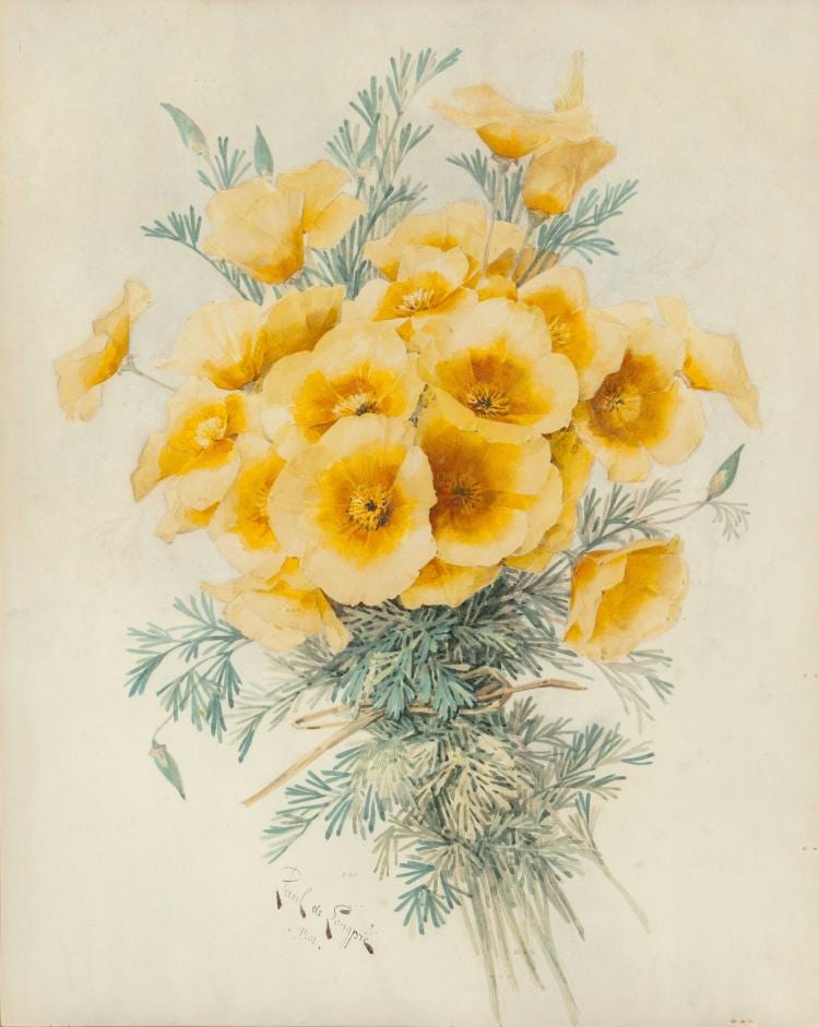 Watercolor-style painting of yellow poppies and green pine branches on a light background.