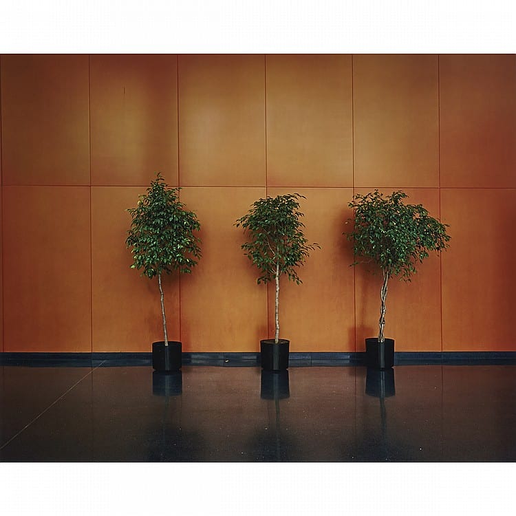Lynne Cohen comparable auction result: lynne cohen r c a untitled 2007 chromogenic print 16 ins x 20 ins 40 6 cms x 50 8 cms