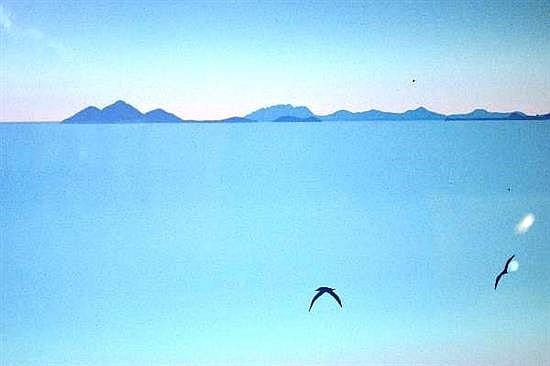 Ashley John Manley comparable auction result: ashleigh john manley b 1949 australia view from mission beach coloured screen print