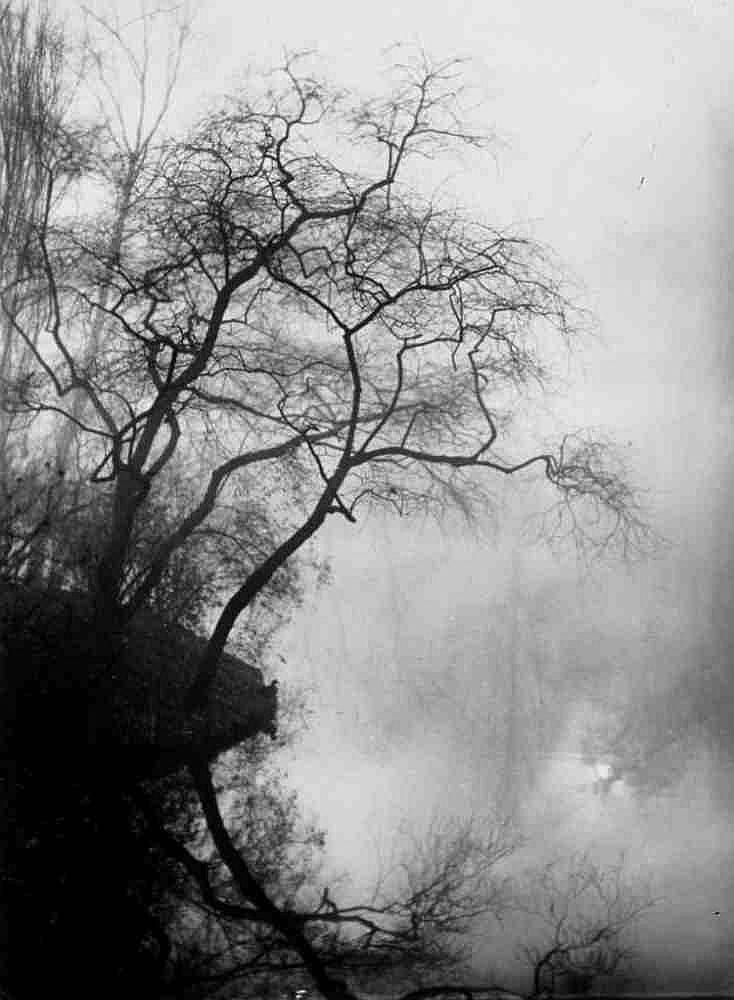 hein gorny in the morning mist by a lake photogr · Grisebach · 2015-06-03 Hein Gorny comparable auction result: hein gorny in the morning mist by a lake photogr