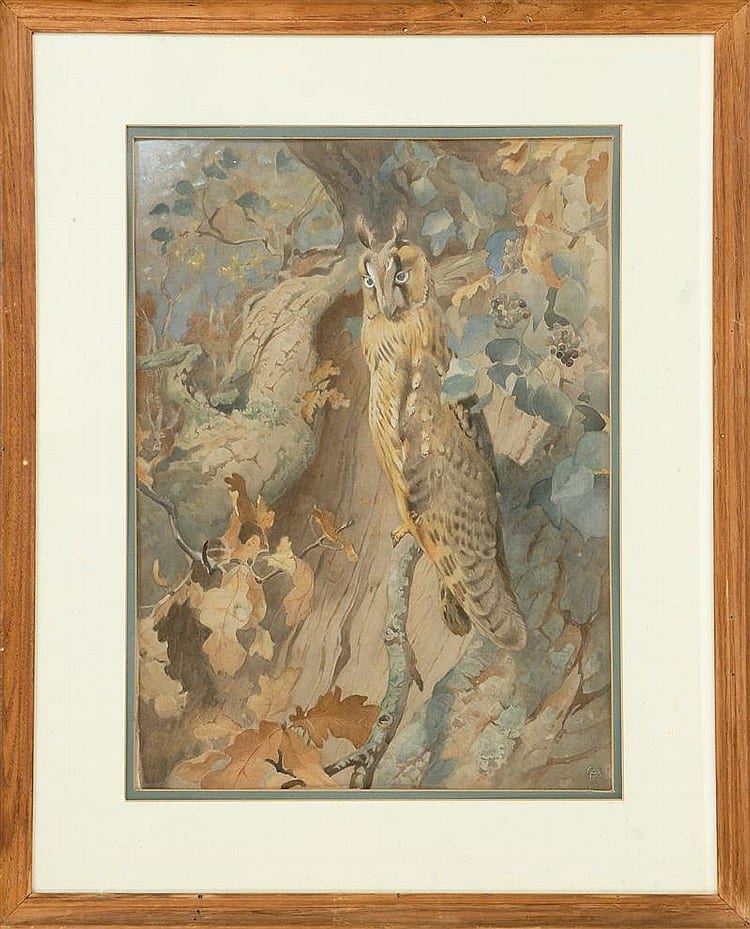Winifred Austin comparable auction result: winifred austin english 1876 1964 depicting an owl watercolor on paper 18 5 x 13 25 framed 26 x 21
