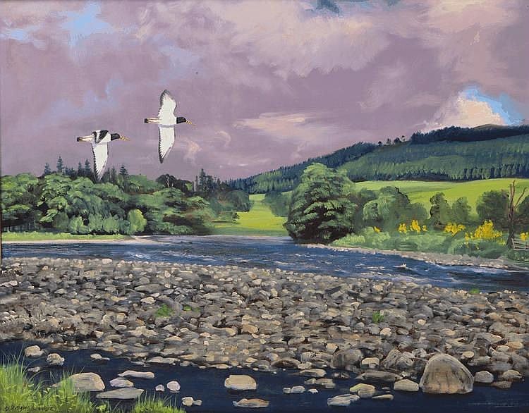 Douglas (1934) Anderson comparable auction result: douglas anderson b 1934 oyster catchers flying over a river with m