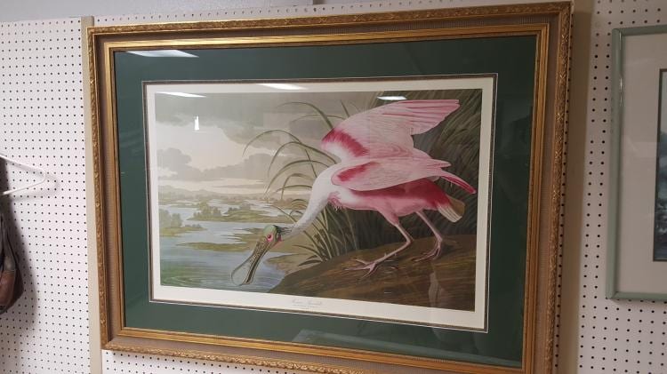 Framed bird print showing a pink wading bird (roseate spoonbill) standing in shallow water with reeds in the background.