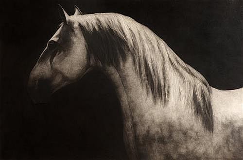 Paddy Lennon comparable auction result: paddy lennon b 1955 lousitano ii