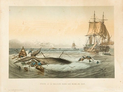 Louis LeBreton comparable auction result: louis lebreton 1818 1866 p che la baleine dans le