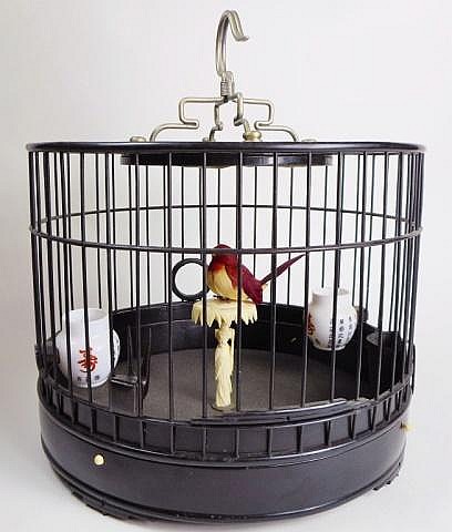 Metal birdcage with vertical bars and a small colorful bird perched inside on a wooden dowel; circular base and domed top.
