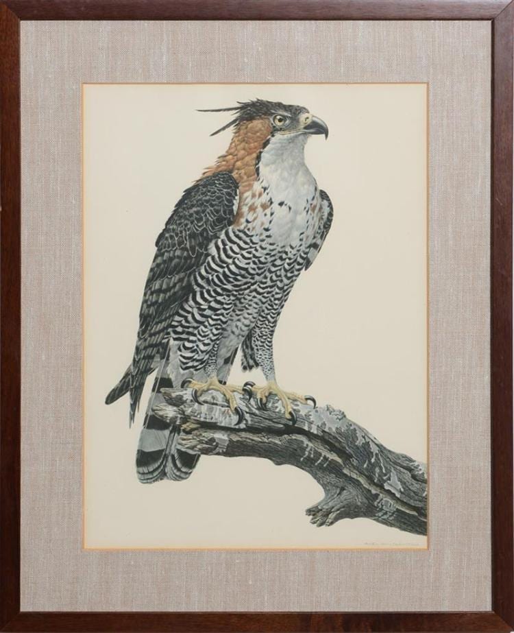 Axel Amuchástegui comparable auction result: axel amuch stegui 1921 2002 some birds and mammals of south america