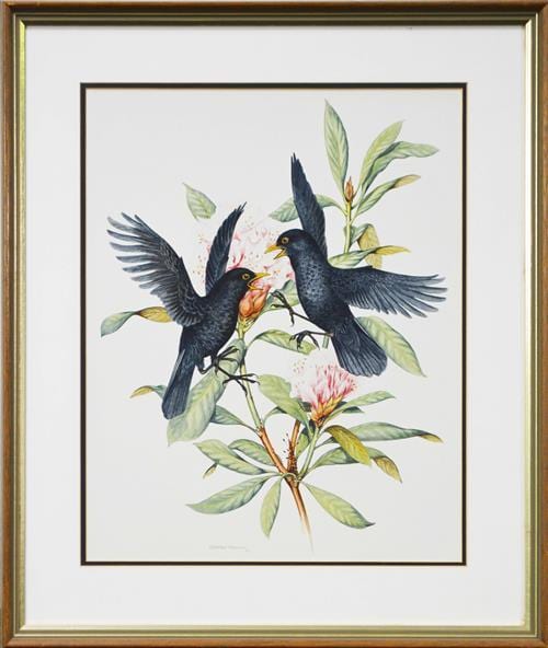 Charles Newman comparable auction result: charles newman xx blackbirds 1987 42 x 34cm