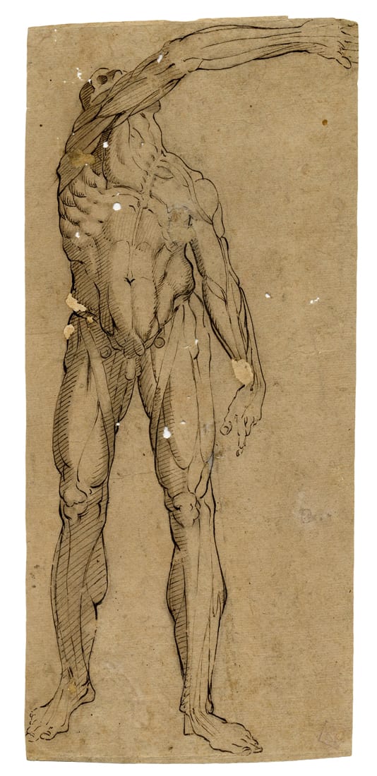 giovan gioseffo dal sole lo spellato o studio anatomico 1675 1680 · Gonnelli Casa d'Aste · 2015-12-11 Giovan Gioseffo dal Sole comparable auction result: giovan gioseffo dal sole lo spellato o studio anatomico 1675 1680