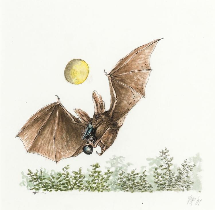 Peter Vos comparable auction result: night movie a bat with a camera by peter vos