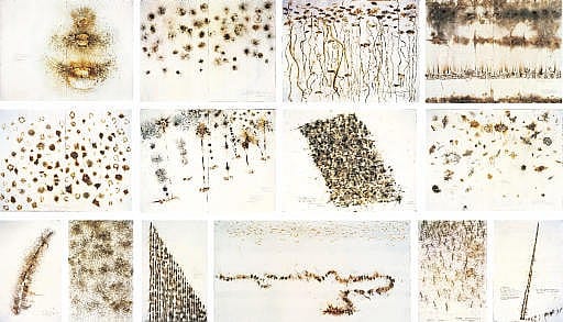 Cai Guo-Qiang (Born in 1957) comparable sale