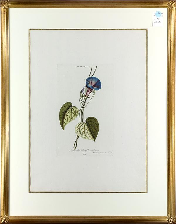print after adam ludwig wirsing · Clars Auctions · 2015-12-12 Adam Ludwig Wirsing comparable auction result: print after adam ludwig wirsing