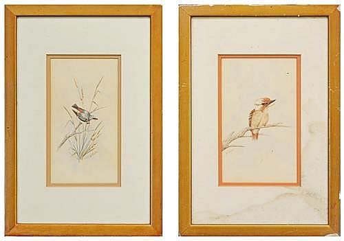 Alice M. Cayley comparable auction result: alice m cayley xix xx kookaburra wren each 19 x 10cm