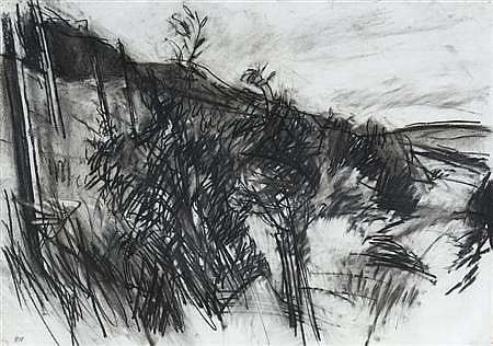 peter coker 1926 2004 hillside 56cm x 78cm 22in x 30 5in · Lyon & Turnbull · 2008-01-10 Peter Coker comparable auction result: peter coker 1926 2004 hillside 56cm x 78cm 22in x 30 5in
