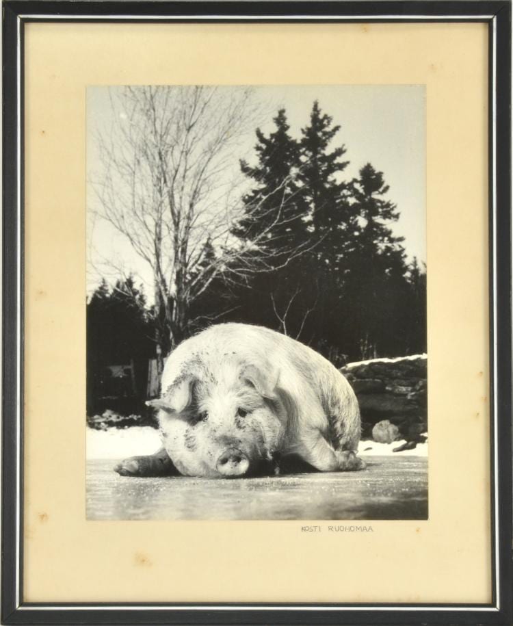 Kosti Ruohomaa comparable auction result: kosti ruohomaa photograph