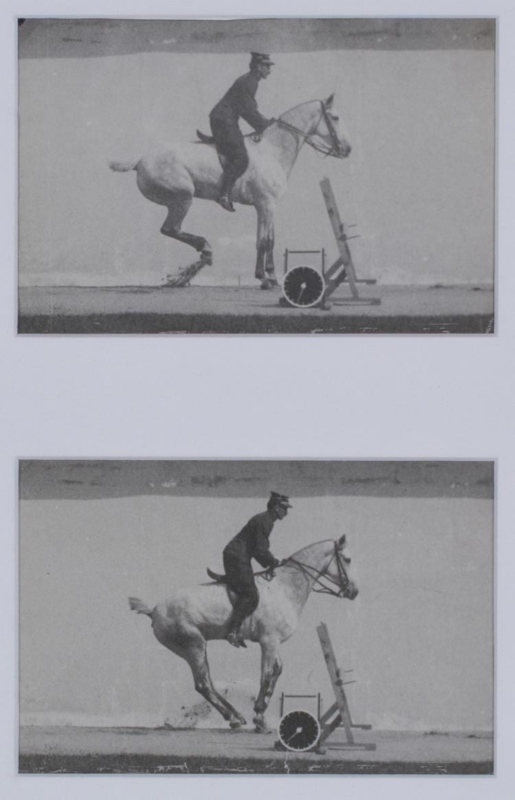 Etienne-Jules Marey comparable auction result: etienne jules marey