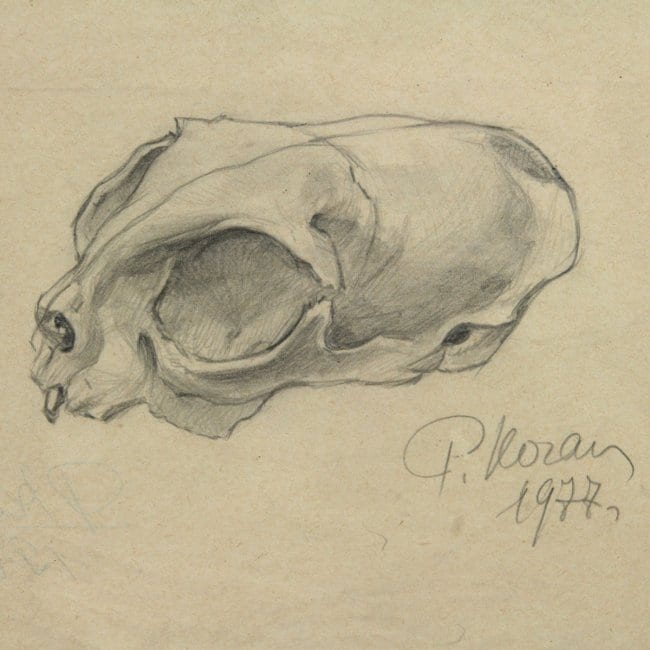 Rachel Kogan comparable auction result: rachel kogan 1912 1995 two drawings