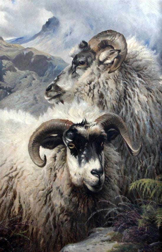 thomas george cooper 1836 1901 sheep on a mountainside 36 x 24in · Gorringes · 2016-06-22 Thomas George Cooper comparable auction result: thomas george cooper 1836 1901 sheep on a mountainside 36 x 24in