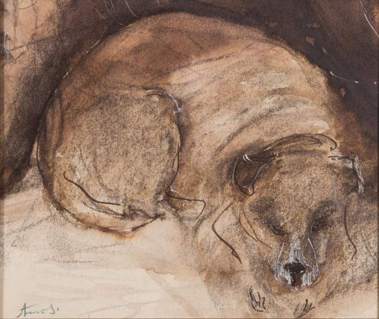 Anthony Amos comparable auction result: anthony amos 1950 2010 sleeping dog signed bottom left pencil drawi