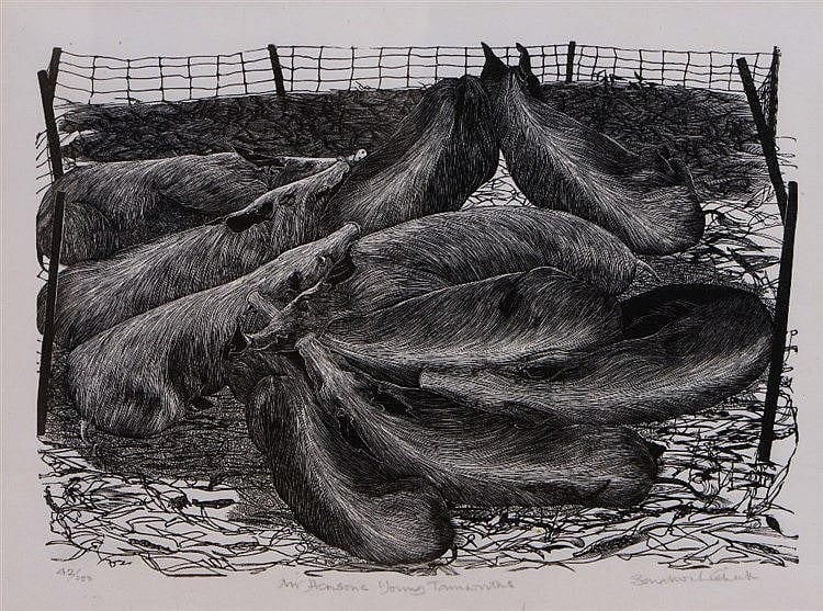 Sarah van Niekerk comparable auction result: sarah van niekerk b 1934
