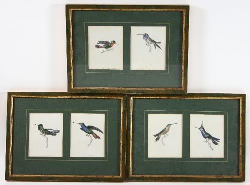William Jardine comparable auction result: william jardine british 1800 1874 humming birds six studies framed as three hand coloured engraving 12 5cm x 9 5cm