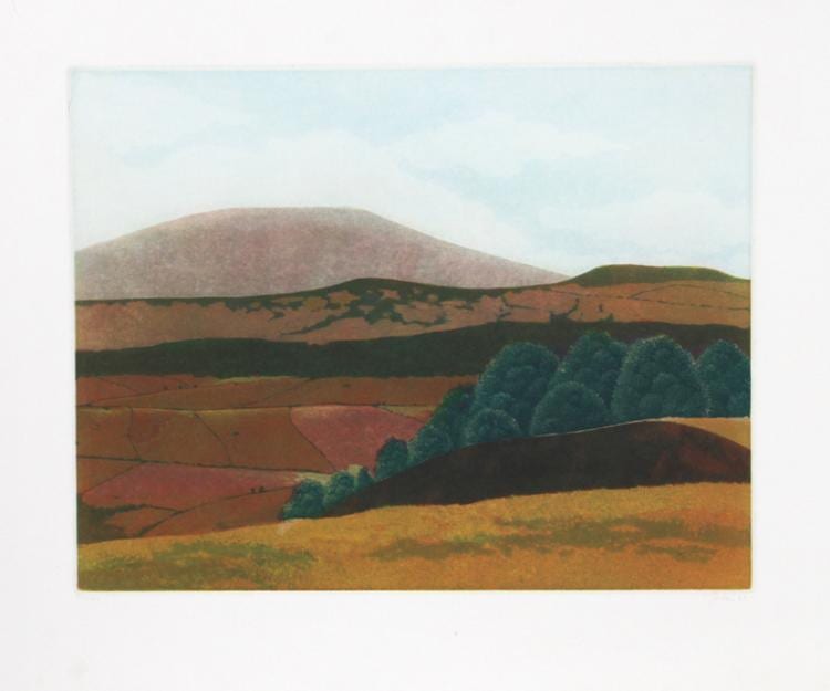 Nicolette Jelen comparable auction result: nicolette jelen landscape aquatint etching