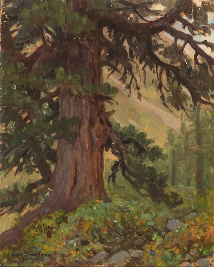 Hans Stadelmann. 1876 Nürnberg - 1950 Lenggries. Besuchte die KGS Nürnberg dann die Münchner Akademie bei Karl Raupp. Wurde durch August Fink beeinflusst. Stellte ab 1906 im Glaspalast aus. sold by Auktionshaus Zeller, lot 1919 — auction record photograph