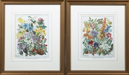 winifred walker fruit and flowers of the holy land and the flowers of holy writ and apocrypha 1953 pair of colored prints fr · Crescent City Auction Gallery · 2016-09-18 Winifred Walker comparable auction result: winifred walker fruit and flowers of the holy land and the flowers of holy writ and apocrypha 1953 pair of colored prints fr