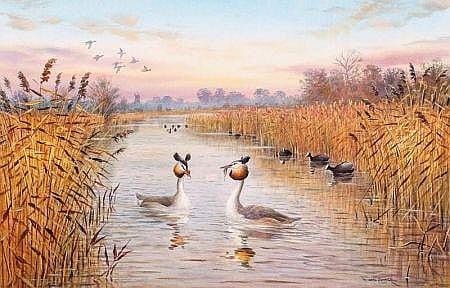 carl donner signed watercolour great crested · Keys Fine Art Auctioneers · 2008-02-08 Carl Donner comparable auction result: carl donner signed watercolour great crested