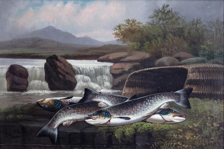 John Bucknell Russell comparable auction result: john bucknell russell c 1819 1893 three sea trout on a rocky ledgeoil on canvas 56 x 76cmsigned j b russell