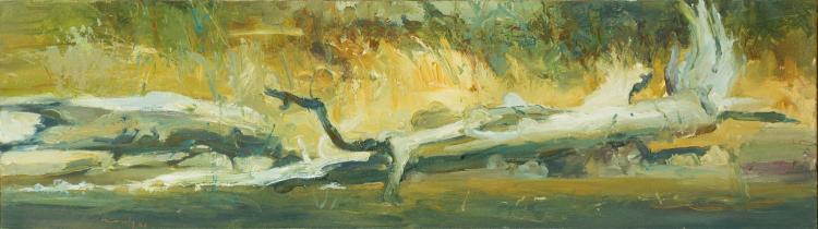David Naseby comparable auction result: david naseby born 1937 king river landscape 1998 fallen log 2000oil on canvassigned and dated lower left naseby 0028 x 99 cm