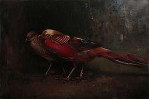 Andrew Law comparable auction result: andrew law british 1873 1967 golden pheasants