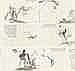 Bada Shanren (1626-1705) Landscapes and Flowers comparable sale