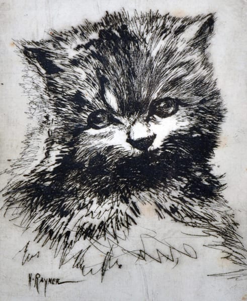 Henry Rayner comparable auction result: henry rayner 1902 1957 british persian study of a cat lithograph signed and inscribed in pencil 7 x 5 75 together with three others by the same hand four 4