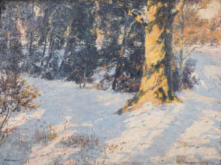 Max Wislicenus comparable auction result: max wislicenus 1861 1957 snowscape oil wood