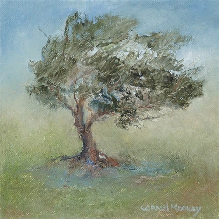 Carmel Mooney comparable auction result: carmel mooney