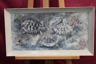 Hilda Chancellor Pope comparable auction result: hilda chancellor pope 1913 1976 ink and gouache a collection of tortoises signed framed 29 5cm x 60cm