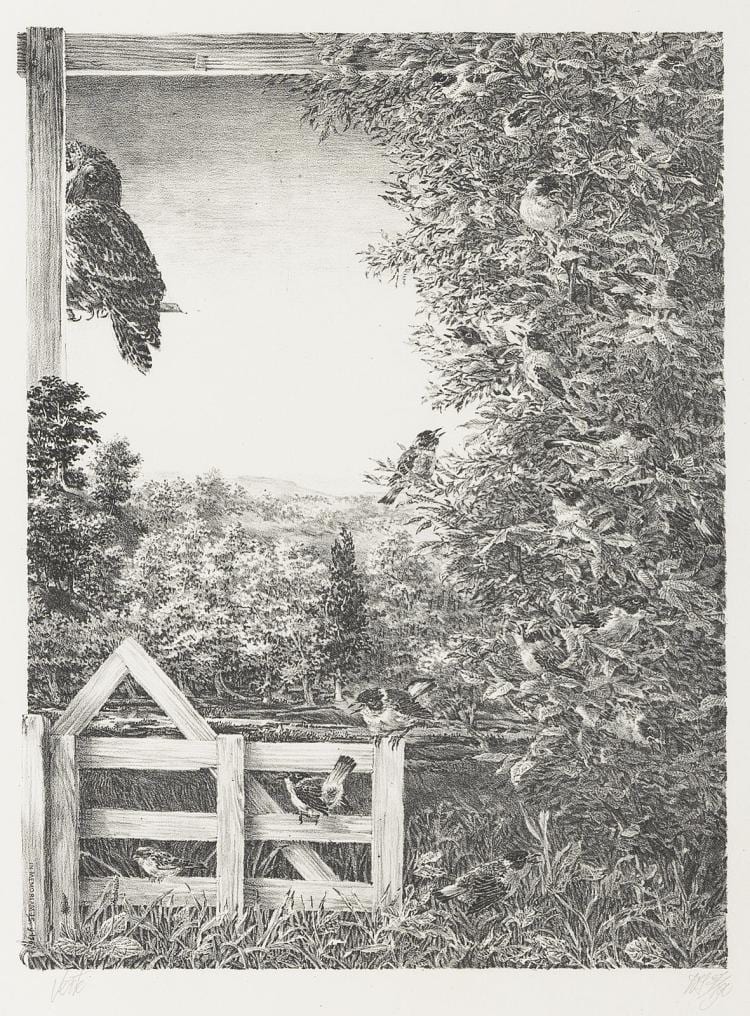 Peter Vos comparable auction result: signed lithograph verte a meticulous drawing by peter vos