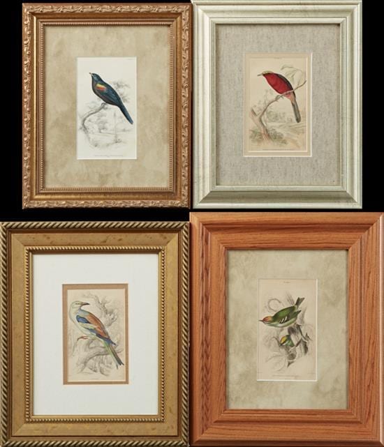 William Jardine comparable auction result: william jardine 1800 1874 barbary or yellow crowned bush shrike fire crowned and common gold crest roller and crimson s