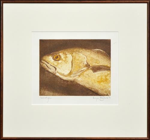 angus mcdonald 1961 grouper iii 1990 19 5 x 25cm · Lawsons · 2017-01-12 Angus McDonald comparable auction result: angus mcdonald 1961 grouper iii 1990 19 5 x 25cm