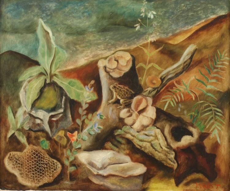 Joseph Paul Vorst comparable auction result: joseph paul vorst german american 1897 1947 flora fauna signed lower right oil on board