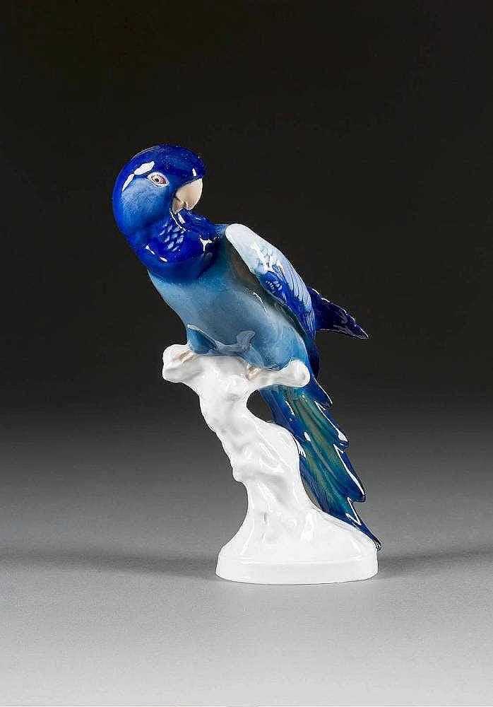 Paul (1876) Walther comparable auction result: keilschwanzsittich
