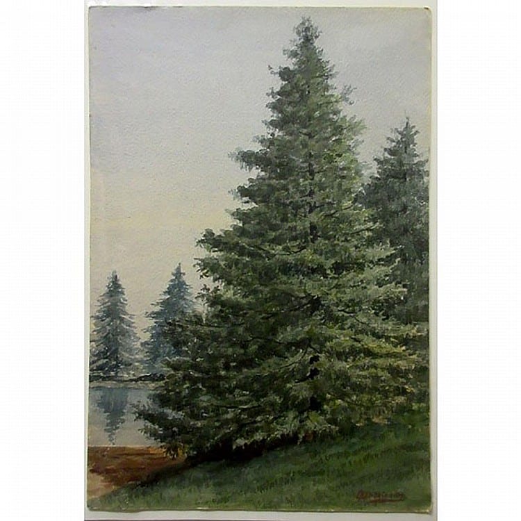 Thomas Harrison Wilkinson comparable auction result: thomas harrison wilkinson canadian 1847 1929 morrison lakewatercolour signed lower right titled verso sheet 19 3 x 13 unframed shrink wrapped estimate 100 125