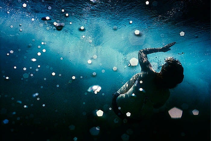 Narelle Autio comparable auction result: narelle autio b 1969 cocoon 2006