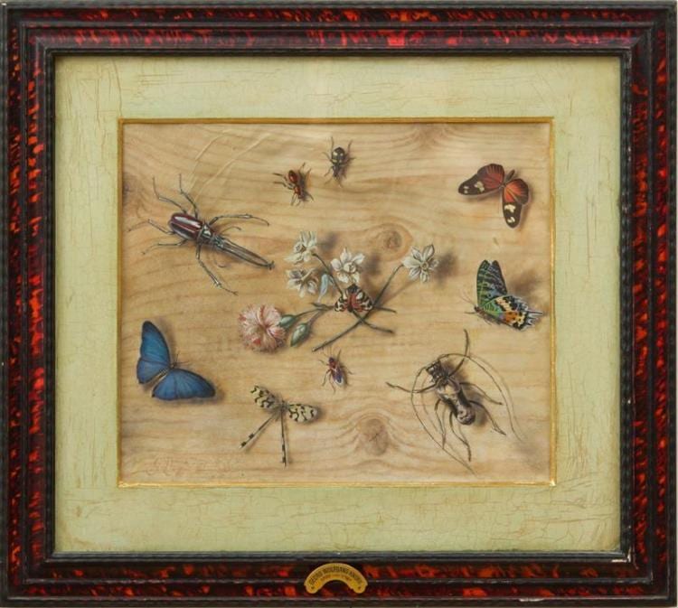 Georg Wolfgang Knorr comparable auction result: georg wolfgang knorr 1705 1761 insect still lifes a pair