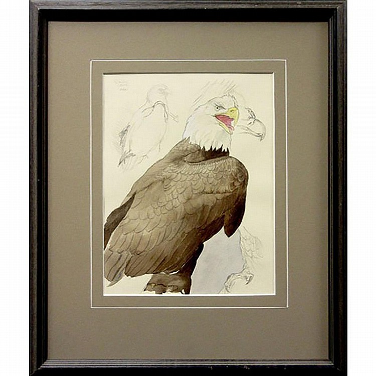 Glen Loates comparable auction result: glen loates canadian 1945 bald eagle sketches graphite and watercolour heightened with white on paper signed and dated 82 upper left sight 11 3 x 8 8
