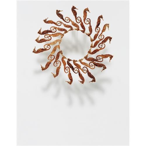 María Fernanda Cardoso comparable auction result: mar a fernanda cardoso seahorse circle