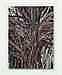 Mark Grotjahn comparable auction result: mark grotjahn b 1968